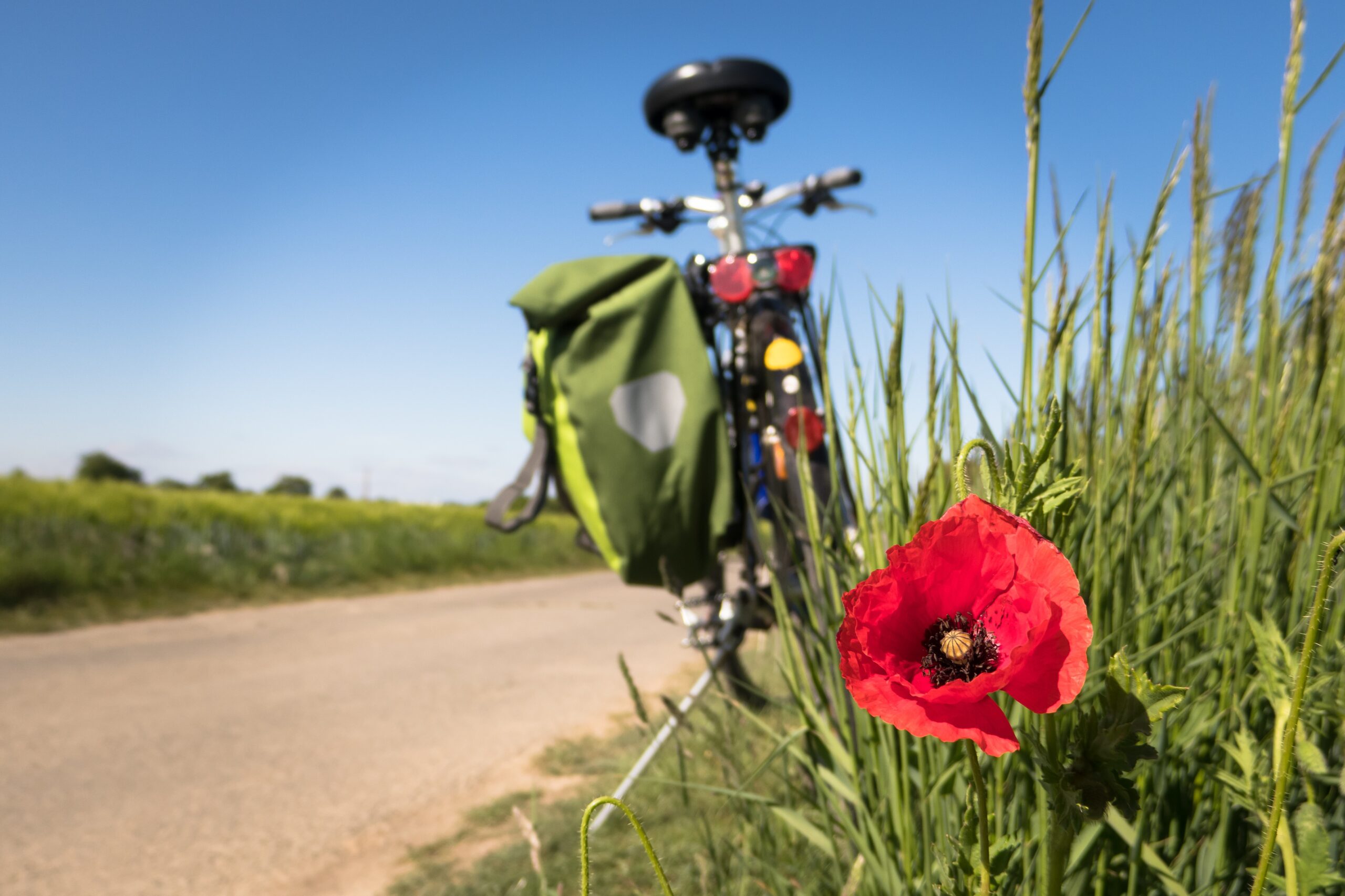 active lifestyle biking and hiking